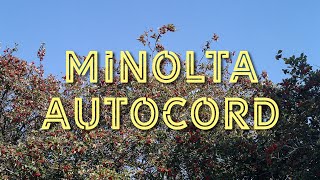 Minolta Autocord  Review with samples [upl. by Assylla]