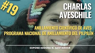 Charla AvesChile Anillamiento científico de aves Programa Nacional de Anillamiento del Pilpilén [upl. by Mechling]