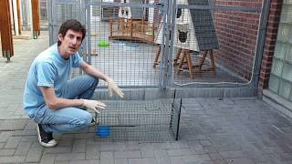 Comment utiliser une cage de piégeage pour capturer un chat errant [upl. by Arimas141]