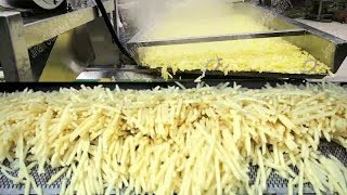 Awesome Automatic Potato Processing and French Fries Making Machines in Food Factory [upl. by Devinna]