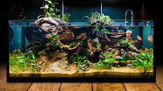 Perfecting the Low Tech Fish Tank in DIY IKEA Aquarium [upl. by Roda]