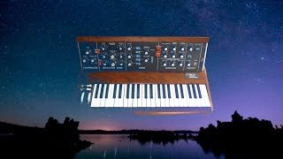 Nowhere  Minimoog Model D reissue [upl. by Ardelle712]