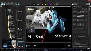 Corel AfterShot 3 HDR and Corel PaintShop Pro 2019 Ultimate [upl. by Nevanod]