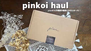 【Pinkoi購入品】台湾作家pionさんの文房具福袋が大当たり！pion Pinkoi haul [upl. by Eelanaj]