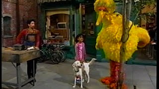 Sesame Street  Lost Dog Part 1 [upl. by Attenra]