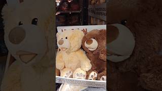 SHORTS HUGFUN  3 PACK BEAR DOG TOYS  COSTCO  LANGLEY  BC [upl. by Shelagh]