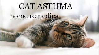 CAT ASTHMA TREATMENT  HOME REMEDIES  PREVENTION Asthma [upl. by Zilef]