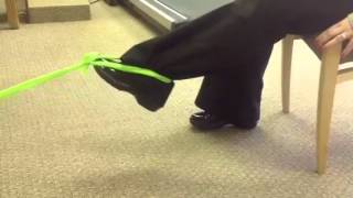 Hamstring Curls  Theraband Exercises OSI Physical Therapy [upl. by Ennagrom]