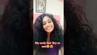 My curly hair😍🥰curlyhair hairlove curls curlyhairgirl hairshorts trendingshorts [upl. by Nnaeilsel964]