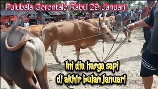 Agak parah lagi harga di akhir bulan Januari [upl. by Alistair]