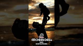 താലോലംThalolam Status VideoLa IlahaNizam Thaliparamba [upl. by Nanoc]