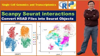 Scanpy Seurat Video Tutorials Convert H5AD Files into Seurat Objects [upl. by Lorelie]