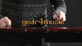 Xylophone by Gear4music Performance [upl. by Gerome]