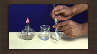 Making of soap  chemical reactions  Chemistry [upl. by Haissi]