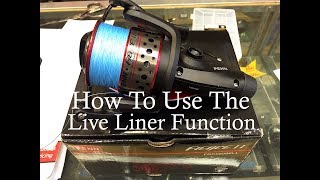 How To Use Penn Fierce Live Liner Reel For Shore Casting [upl. by Nolan21]