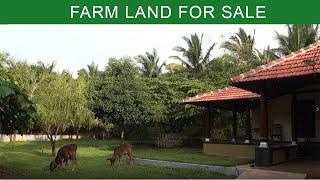 Coconut farm land for sale in Pollachi  40 Acers [upl. by Weiser365]