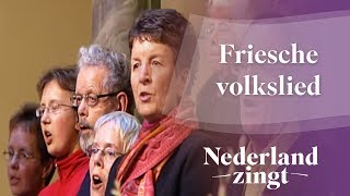 Friesche volkslied  Nederland Zingt [upl. by Vanthe899]