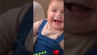 🤣🤣 funny monkey  cat 🤣❤️ video cute baby funnymonkey [upl. by Marshal]