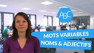 Cours de français 6ème catégorie de mots variables les noms et les adjectifs [upl. by Enelez]