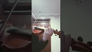 Seitz Violin Concerto No2 I Allegro [upl. by Ahsiatal]