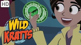 Wild Kratts  Top Season 1 Moments 2 Hours  Kids Videos [upl. by Merrow]