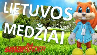 ✅ Lietuvos medžiai  SmartkinderTV  Filmukai vaikams lietuviškai [upl. by Azaleah]