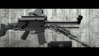 Bushmaster ACR  Caliber Change [upl. by Aeriela]