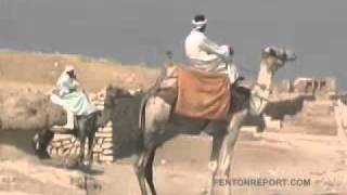 Egypt Pyramids and Sphynx Travel Jim Rogers World Adventure [upl. by Enajyram682]