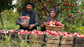 Discover Azerbaijani Apple Jam  The Traditional Way to Make It [upl. by Enomad561]