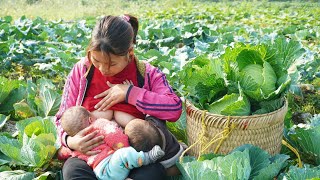 A single mother takes care of and raises two 3monthold children Harvest cabbage go to market sell [upl. by Aldarcie]