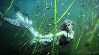 MERMAID SWIMMING WITH FISH THROUGH SEAWEED a freshwater underwater mermaid video  Mermaid Phantom [upl. by Arak]