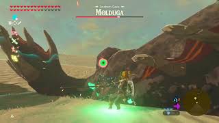 ZELDA BOTW How To Defeat Molduga  Tips And Tricks [upl. by Sonahpets]