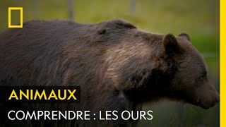 COMPRENDRE  Les ours [upl. by Cozza585]