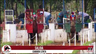 Club Hipico El triunfo Punetesiño Carrera de Caballo Ruano Boli Vs Gauchiña [upl. by Kristianson]