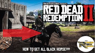 Red Dead Redemption 2 How to get the rare ALL BLACK HORSEFREE [upl. by Nylhtak]