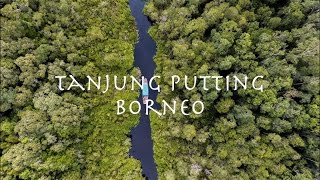 Wonderful Indonesia  Tanjung Puting National Park  Borneo [upl. by Airlee]