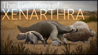 Evolution of sloths and armadillos [upl. by Laehcimaj]