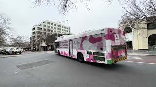 Bus amp Tramspotting in Canberra City Interchange [upl. by Berta33]