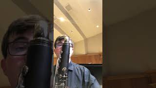 random bass clarinet video from my camera roll [upl. by Tigirb]