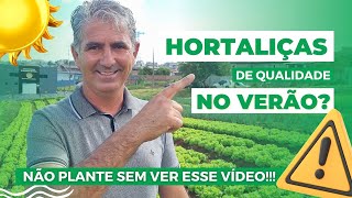 VOCÃŠ TEM DIFICULDADES PARA PRODUZIR HORTALIÃ‡AS NO VERÃƒO [upl. by Sakul]