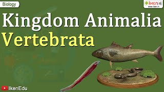 Kingdom Animalia  Vertebrata  Class 11 Biology  iKen [upl. by Kus720]