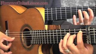 Bulerias sample lesson Advanced Level by Jose Tanaka Flamenco Guitar Lesson「フラメンコギターレッスン」 [upl. by Hgielime963]