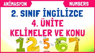 2 Sınıf İngilizce 4 Ünite Kelimeleri Konu Anlatımı  NUMBERS [upl. by Albert189]