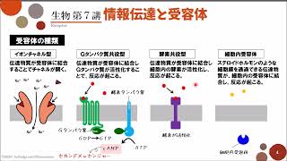 【高校生物】第7講「情報伝達と受容体」 [upl. by Adnirim]