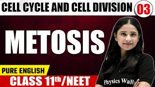 Cell Cycle and Cell Division 02  Mitosis  Class 11NEET  RAFTAAR [upl. by Ymereg15]