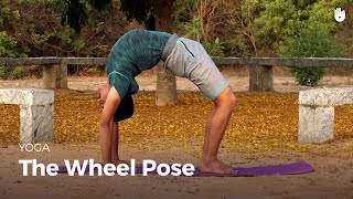 Learn the Wheel Pose  Chakrasana  Yoga [upl. by Bohaty32]