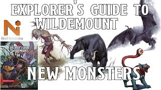 Vestiges of Divergence in Explorers Guide to Wildemount  Nerd Immersion [upl. by Emoraj]