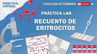 FISIO1RECUENTO DE ERITROCITOS [upl. by Ahsitam391]