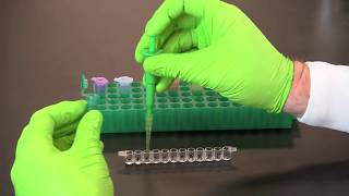 How To Perform A Qualitative ELISA [upl. by Adnana]