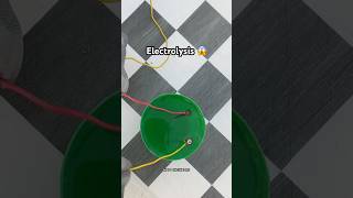 Electrolysis Reaction 😳 scinceexperiment educationalvideo experimentvideos [upl. by Phelgon71]